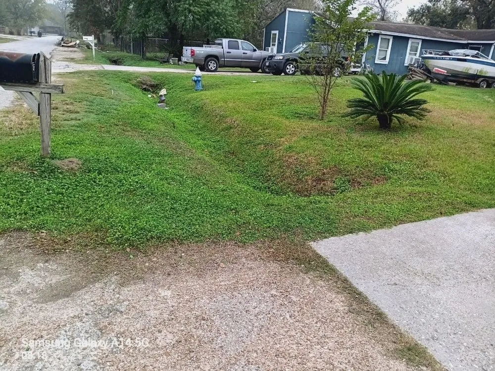 Top-rated yard cleanup service experts serving Houston, TX - Nasario Lara