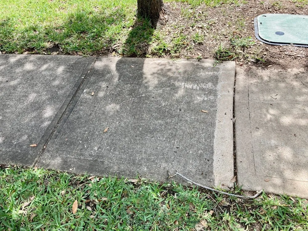 Trusted yard cleanup service in Houston, TX - Nasario Lara