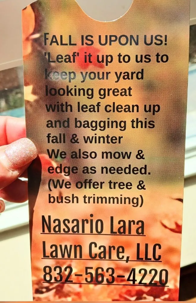 Expert landscape installation in Houston, TX by Nasario Lara