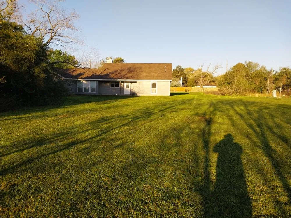 Top-rated landscaping services for beautiful yards across Houston, TX - Nasario Lara