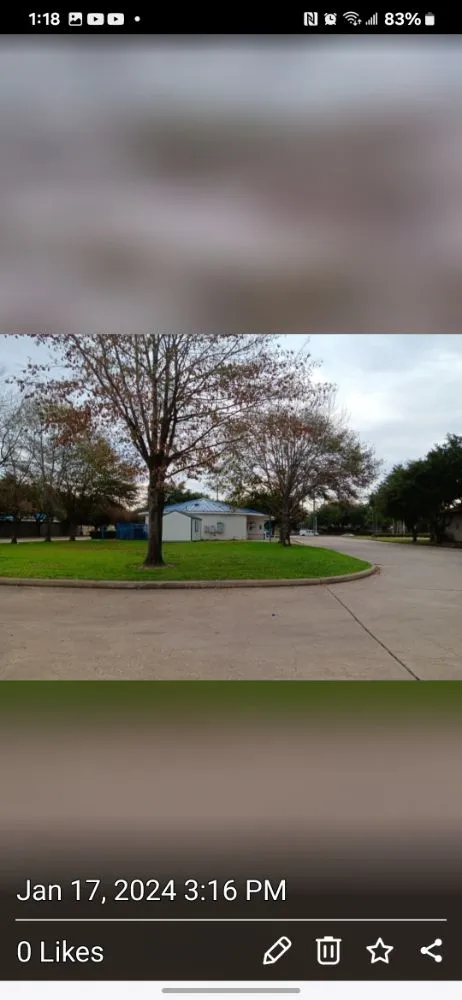 Custom yard cleanup service experts serving Houston, TX - Nasario Lara