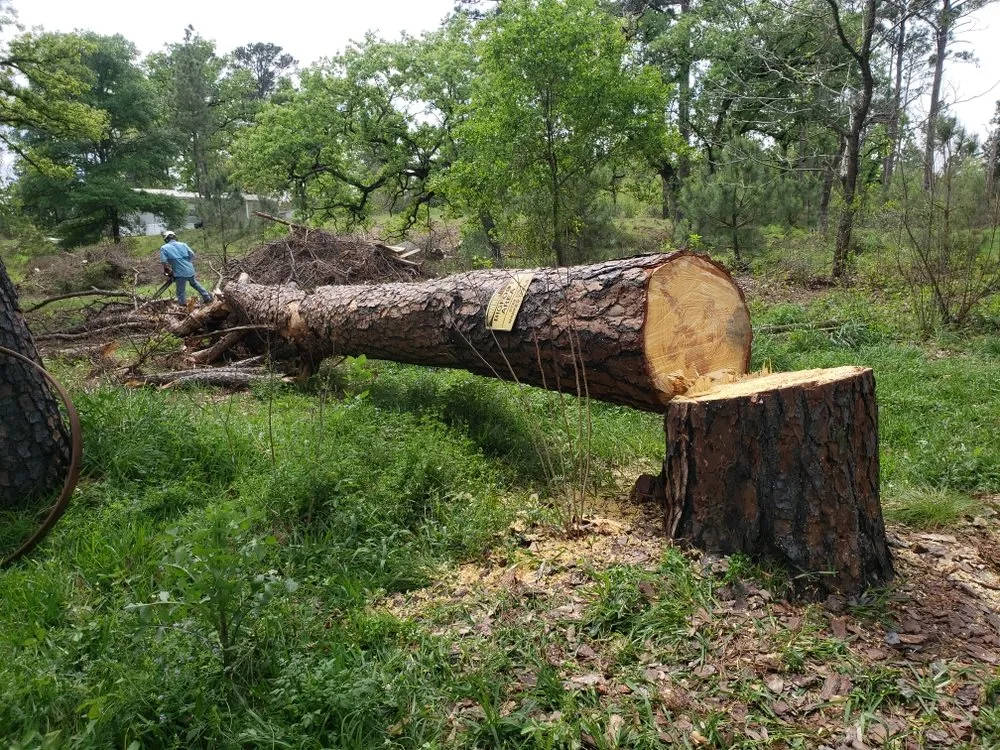Trusted outdoor landscaping for beautiful yards across Dripping Springs, TX - Nash Brothers Land Services
