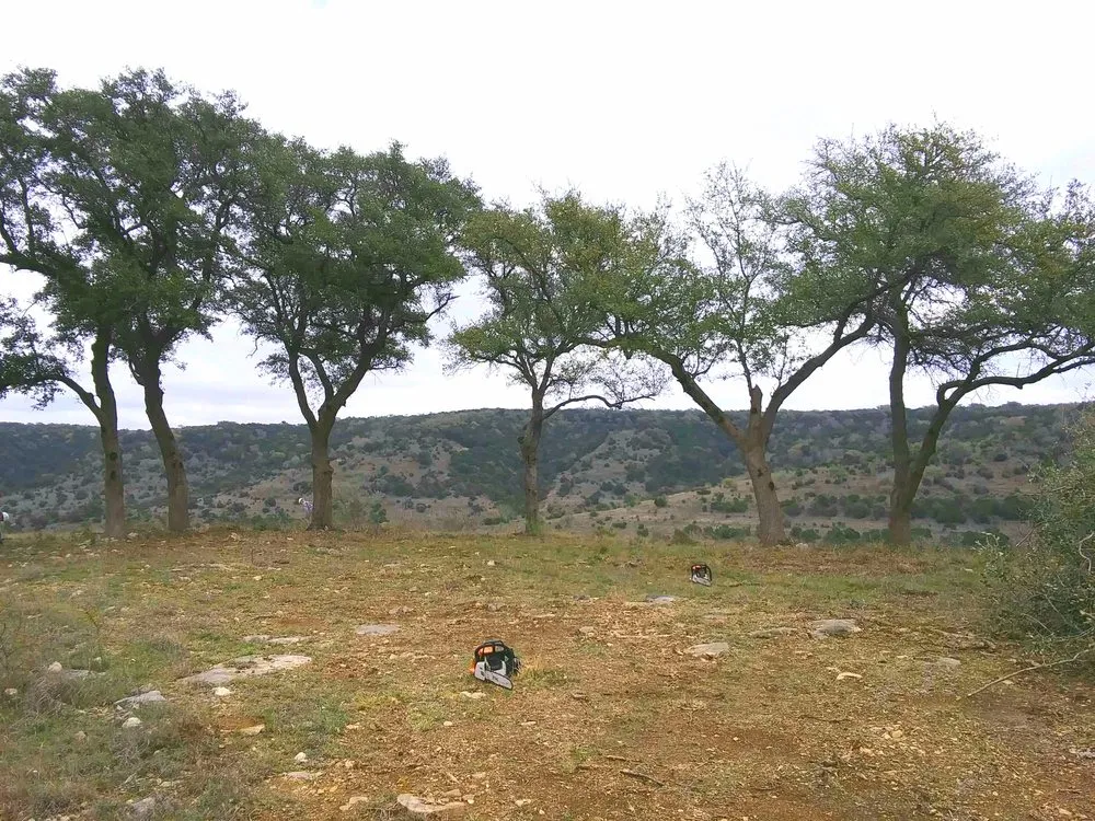 Reliable garden landscaping for year-round maintenance in Dripping Springs, TX by Nash Brothers Land Services