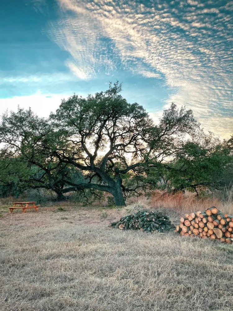 Top-rated landscaping services in Dripping Springs, TX by Nash Brothers Land Services