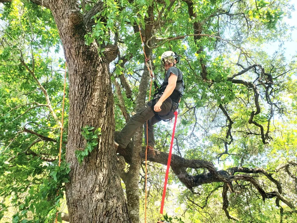 Affordable residential landscaping in Dripping Springs, TX - Nash Brothers Land Services
