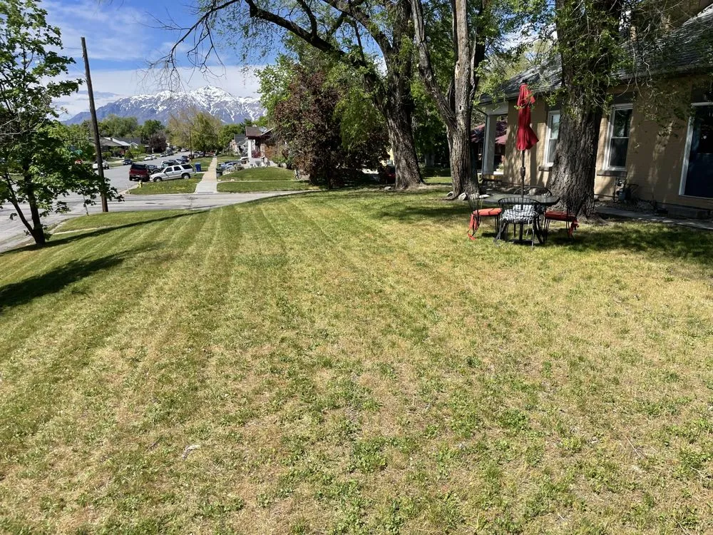 Professional yard maintenance in South Ogden, UT by Nash Lawn and Home