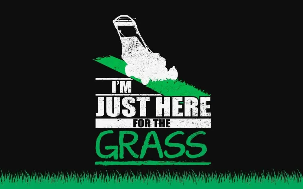 Trusted residential landscaping in Girard, PA by Nash Lawn Care