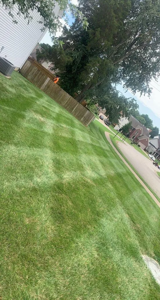 Professional outdoor landscaping for beautiful yards in Philpot, KY by Nash’s lawn service