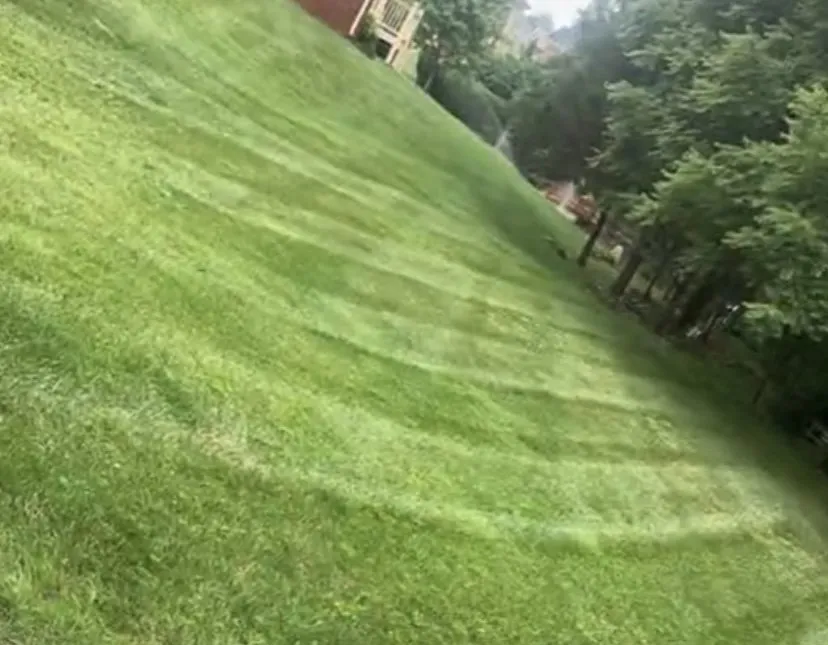 Affordable landscaping services for residential properties in Philpot, KY by Nash’s lawn service