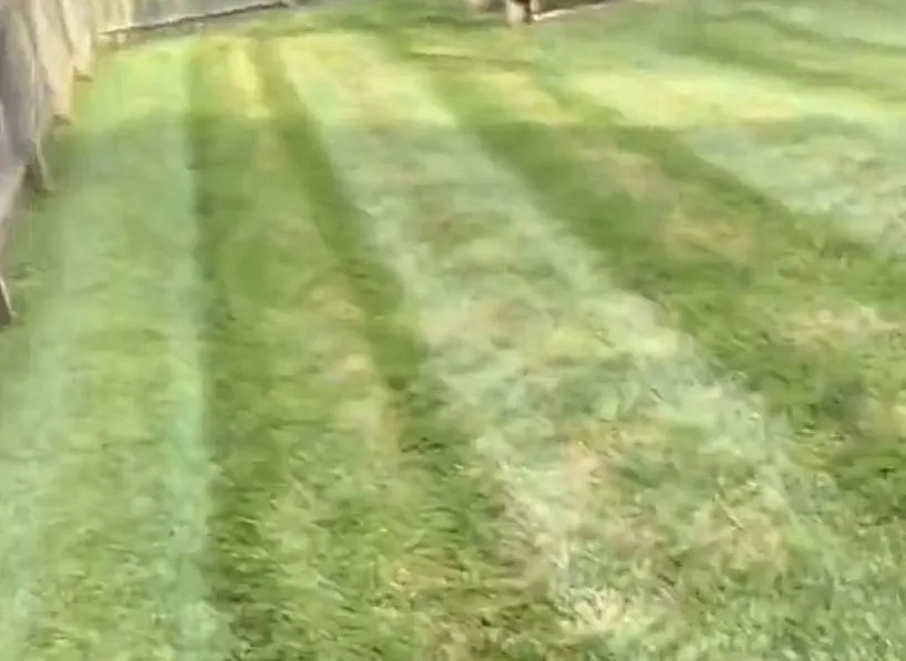 Expert garden landscaping in Philpot, KY by Nash’s lawn service