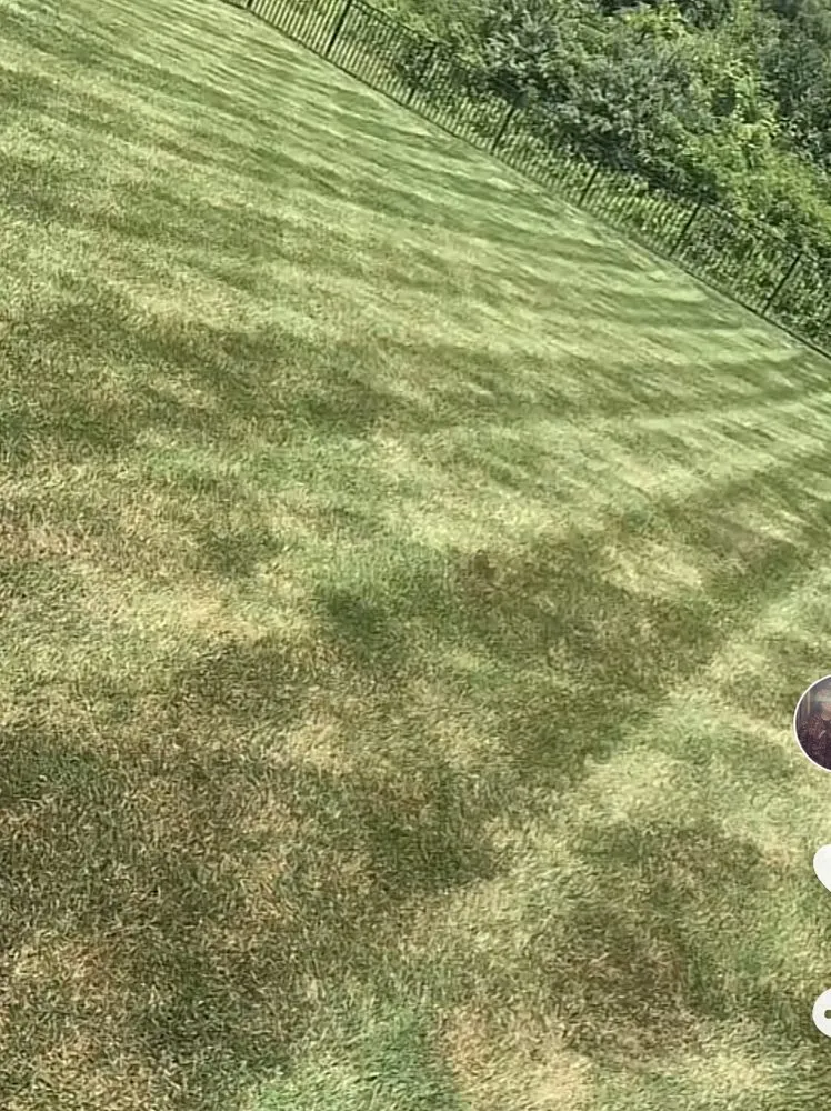 Affordable yard cleanup service for year-round maintenance in Philpot, KY by Nash’s lawn service