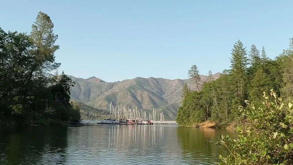 Affordable lawn care service in Redding, CA - Nash's Lawn Trimming