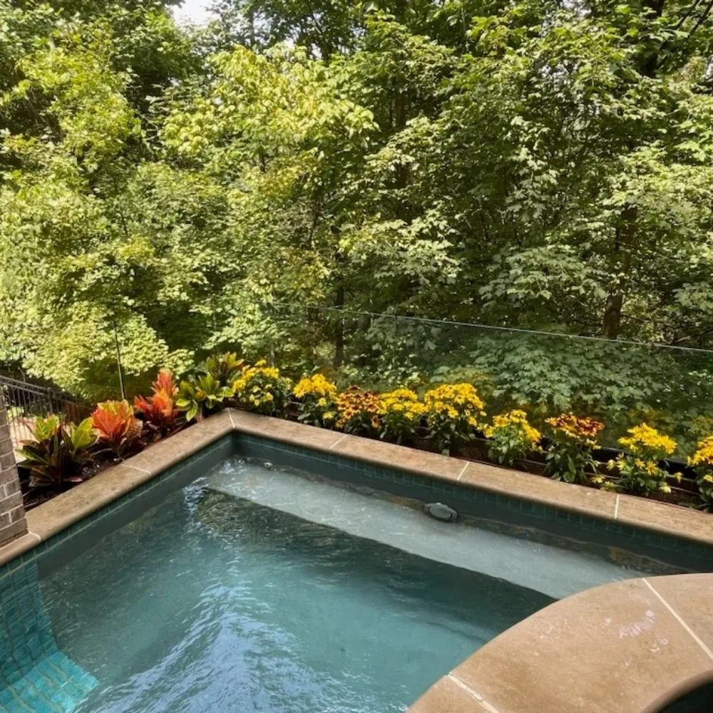 Expert yard cleanup service for year-round maintenance in Nashville, TN by Nashscapes