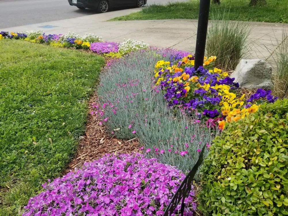 Professional yard cleanup service for year-round maintenance across Nashville, TN - Nashscapes