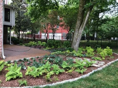 Trusted lawn care service in Nashville, TN - Nashscapes