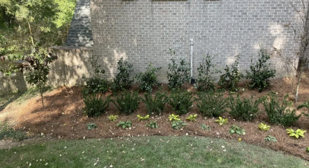 Local garden landscaping for year-round maintenance in Nashville, TN by Nashscapes