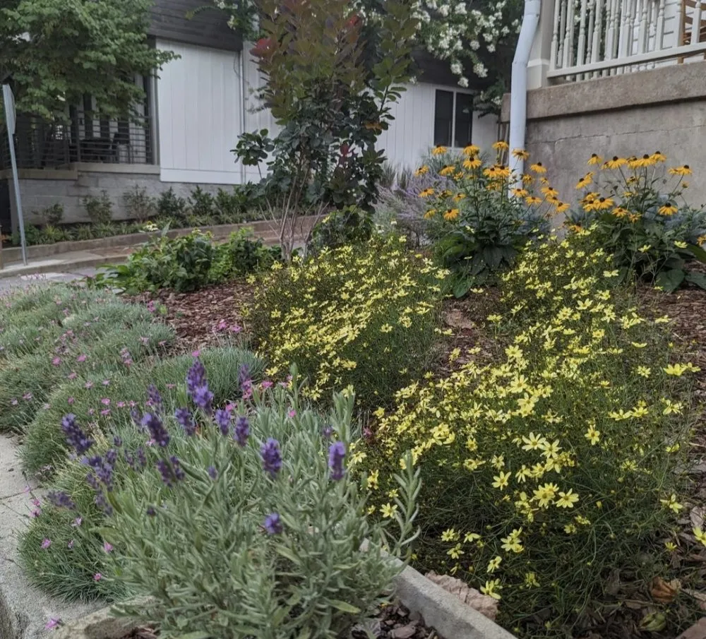 Reliable lawn mowing service experts serving Nashville, TN - Nashscapes