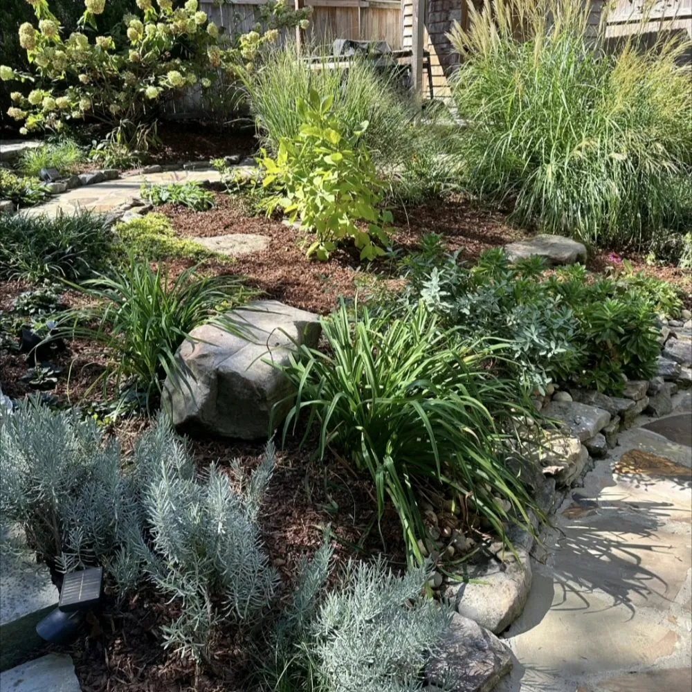 Reliable lawn mowing service with custom design across Nashville, TN - Nashscapes