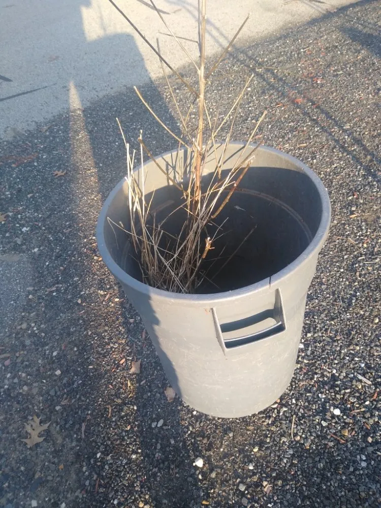 Affordable landscape installation experts serving Nashua, NH - Nashua Trashmasters