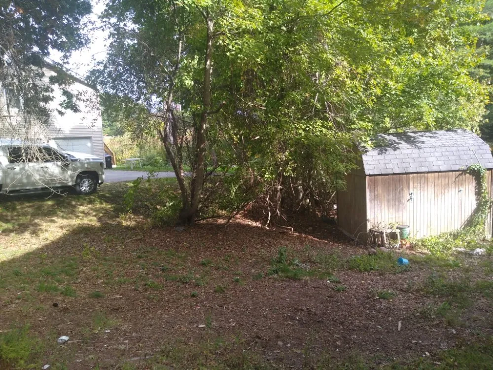 Local yard maintenance for residential properties across Nashua, NH - Nashua Trashmasters