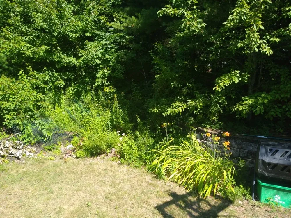 Affordable landscape design in Nashua, NH by Nashua Trashmasters