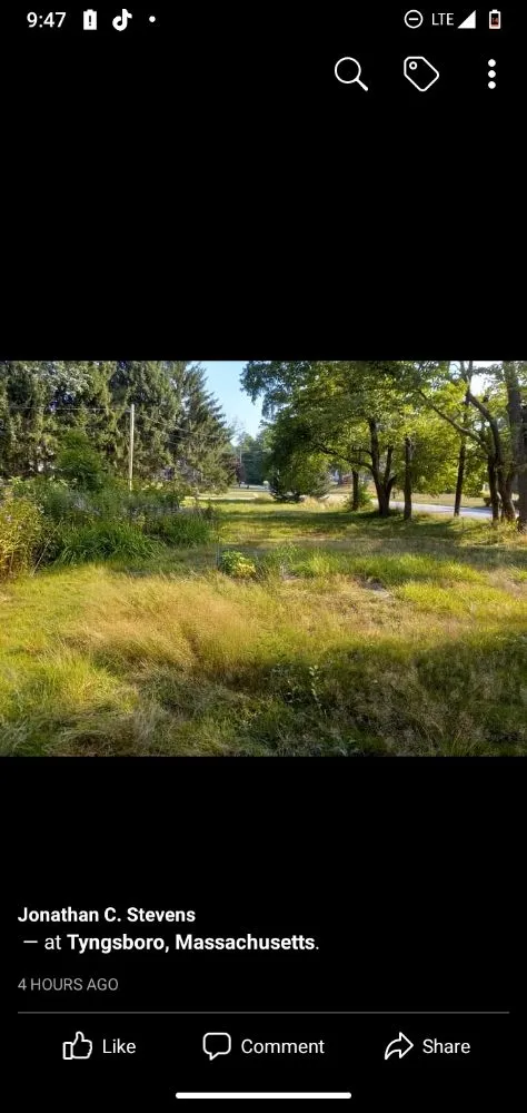 Top-rated landscaping services near you in Nashua, NH by Nashua Trashmasters