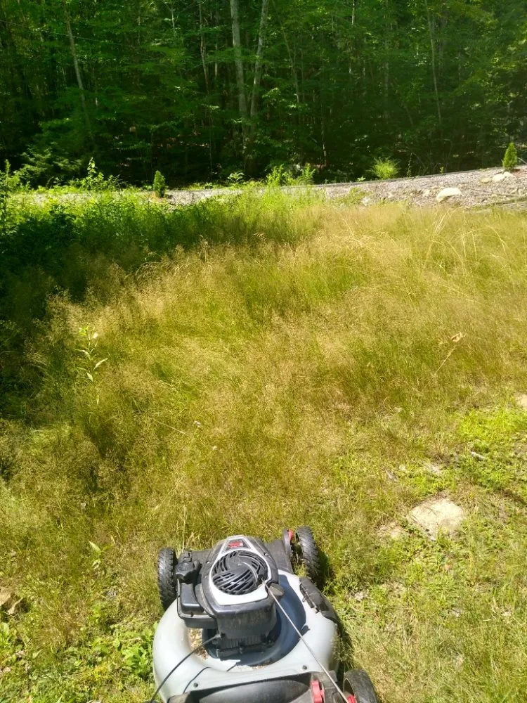 Expert landscaping services experts serving Nashua, NH - Nashua Trashmasters