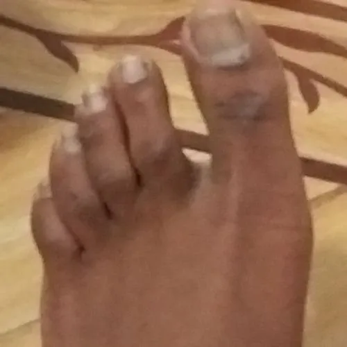 Trusted yard maintenance for outdoor upgrades in Nashua, NH by Nashua Trashmasters