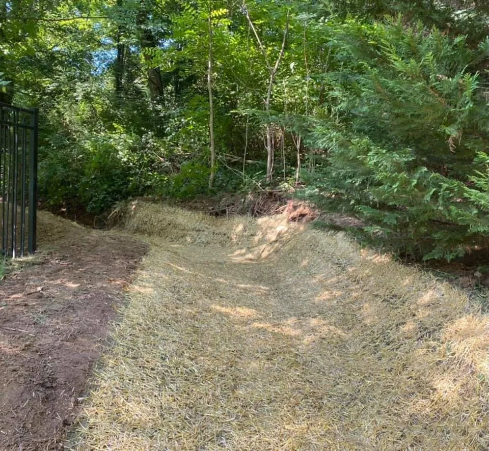 Expert yard maintenance for homes in White House, TN by Nashville Dirt Works