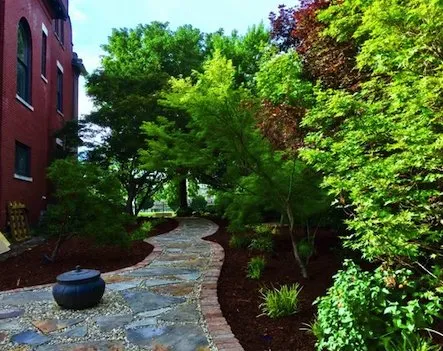 Expert yard maintenance for homes across Nashville, TN - Nashville Landscaping
