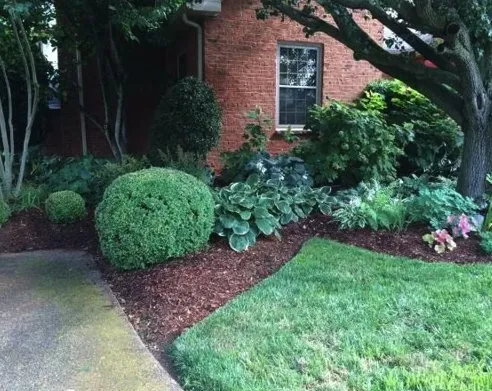 Affordable yard cleanup service for beautiful yards in Nashville, TN by Nashville Landscaping