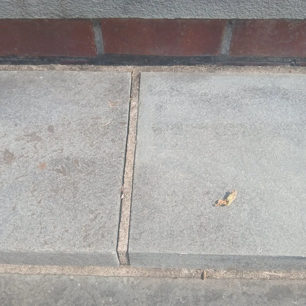 Top-rated lawn mowing service in Nashville, TN by Nashville Yardscapes