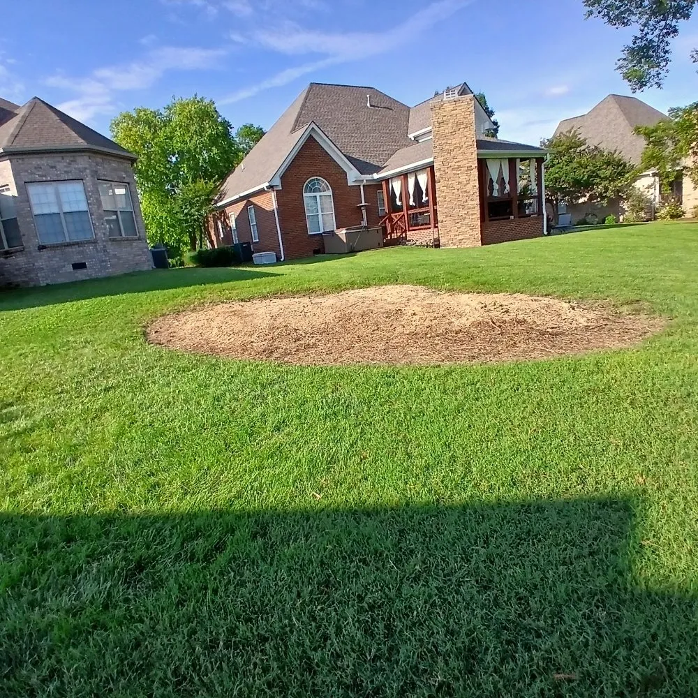 Expert outdoor landscaping in Nashville, TN by Nashville Yardscapes