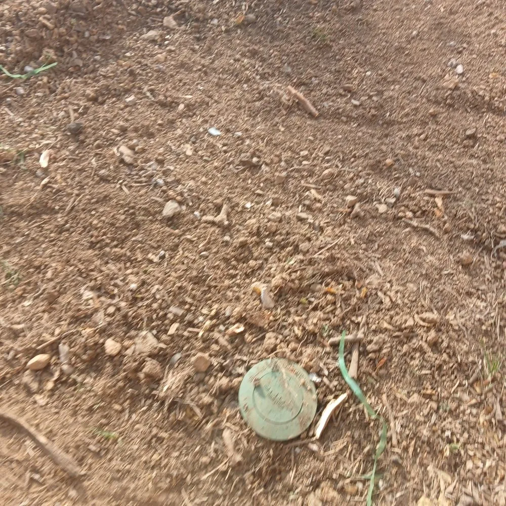 Expert landscaping services for homes across Nashville, TN - Nashville Yardscapes