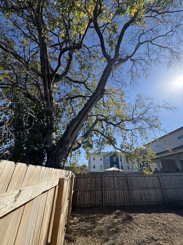 Reliable lawn care service with custom design in Nashville, TN by Nashville Yardscapes