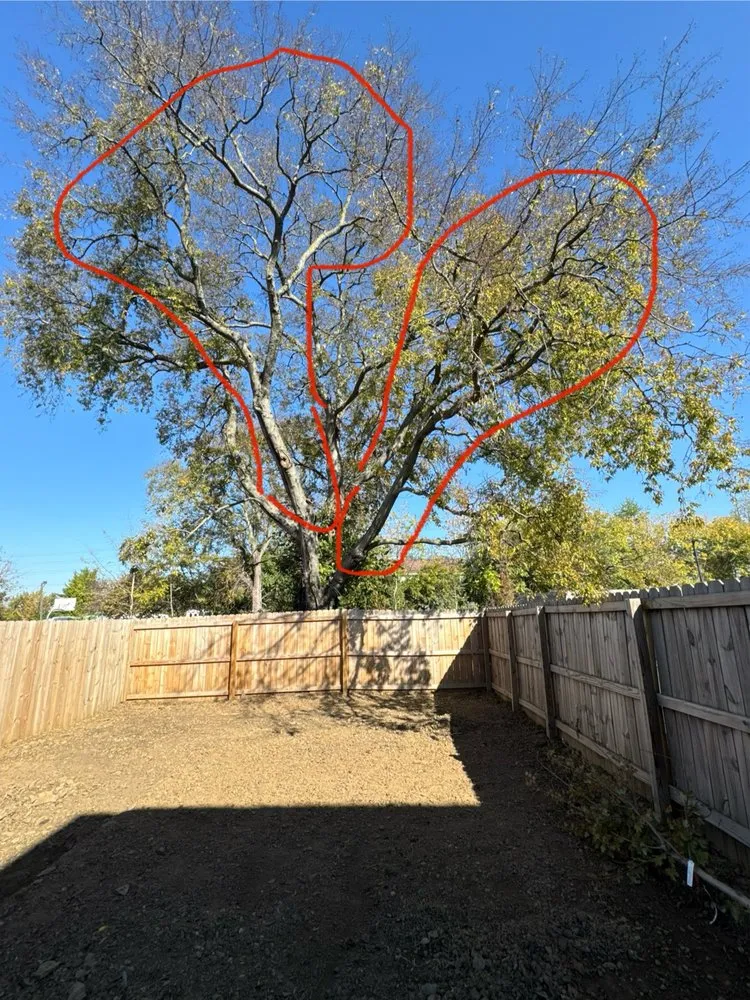 Custom outdoor landscaping for residential properties across Nashville, TN - Nashville Yardscapes