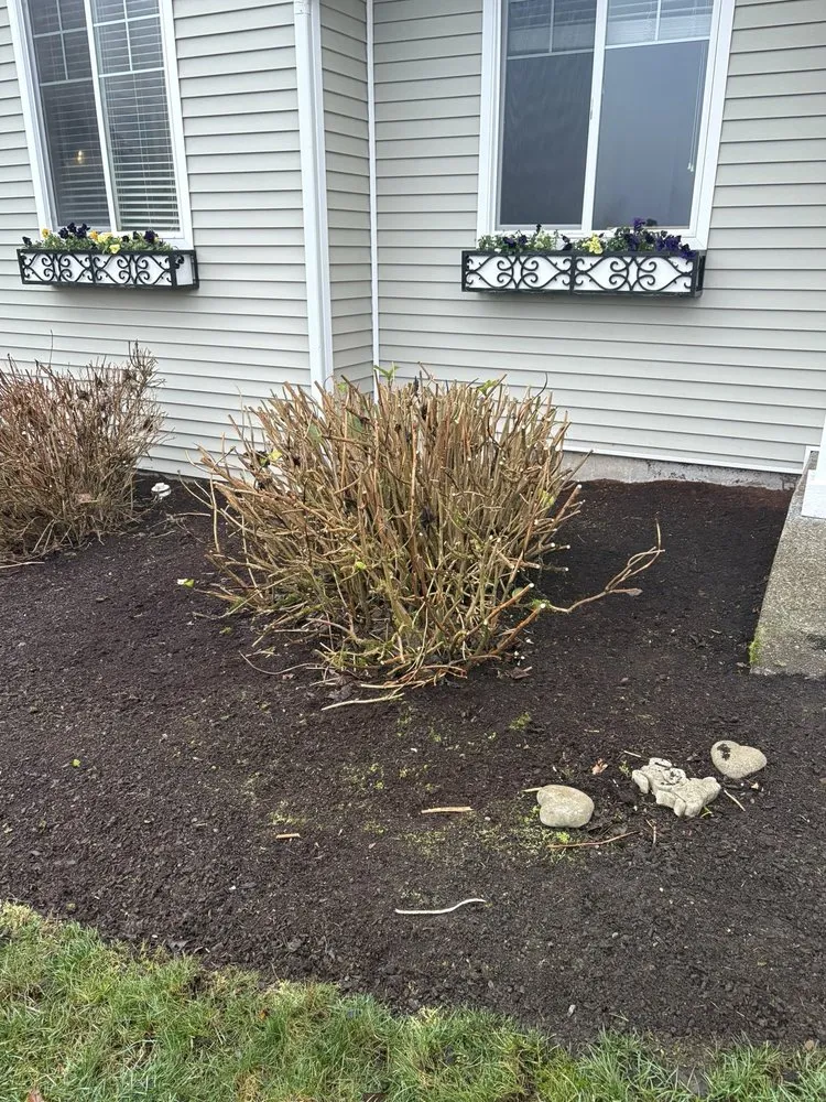 Custom lawn mowing service for beautiful yards in Tacoma, WA by Nasim Landscape