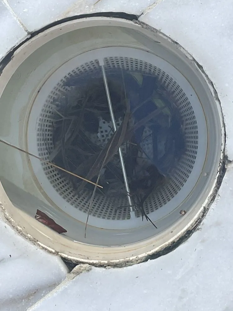 Affordable yard cleanup service in Naples, FL - Nassau Pools