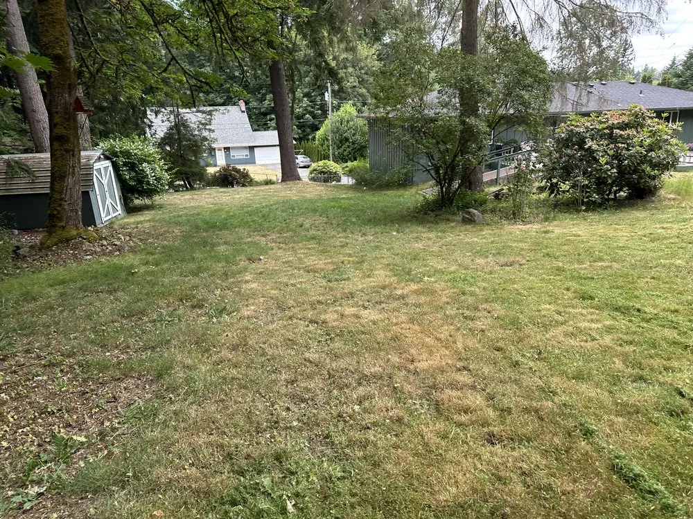 Expert landscaping services in Kent, WA - NasyAngels Landscaping