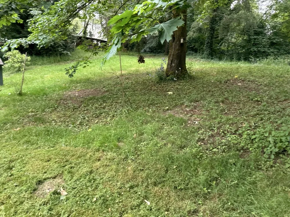 Professional residential landscaping for year-round maintenance across Kent, WA - NasyAngels Landscaping