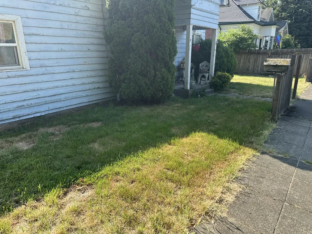 Reliable landscape installation in Kent, WA by NasyAngels Landscaping