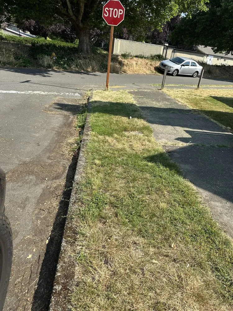 Reliable landscape design in Kent, WA - NasyAngels Landscaping