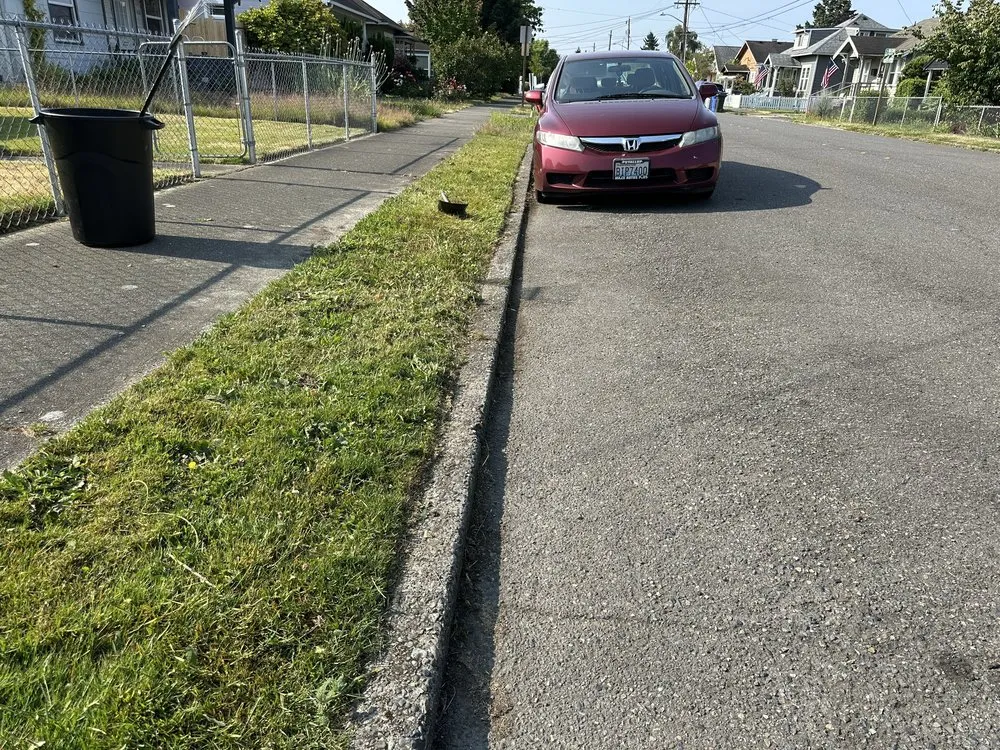 Professional residential landscaping in Kent, WA - NasyAngels Landscaping