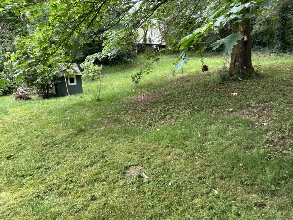 Affordable residential landscaping for year-round maintenance across Kent, WA - NasyAngels Landscaping