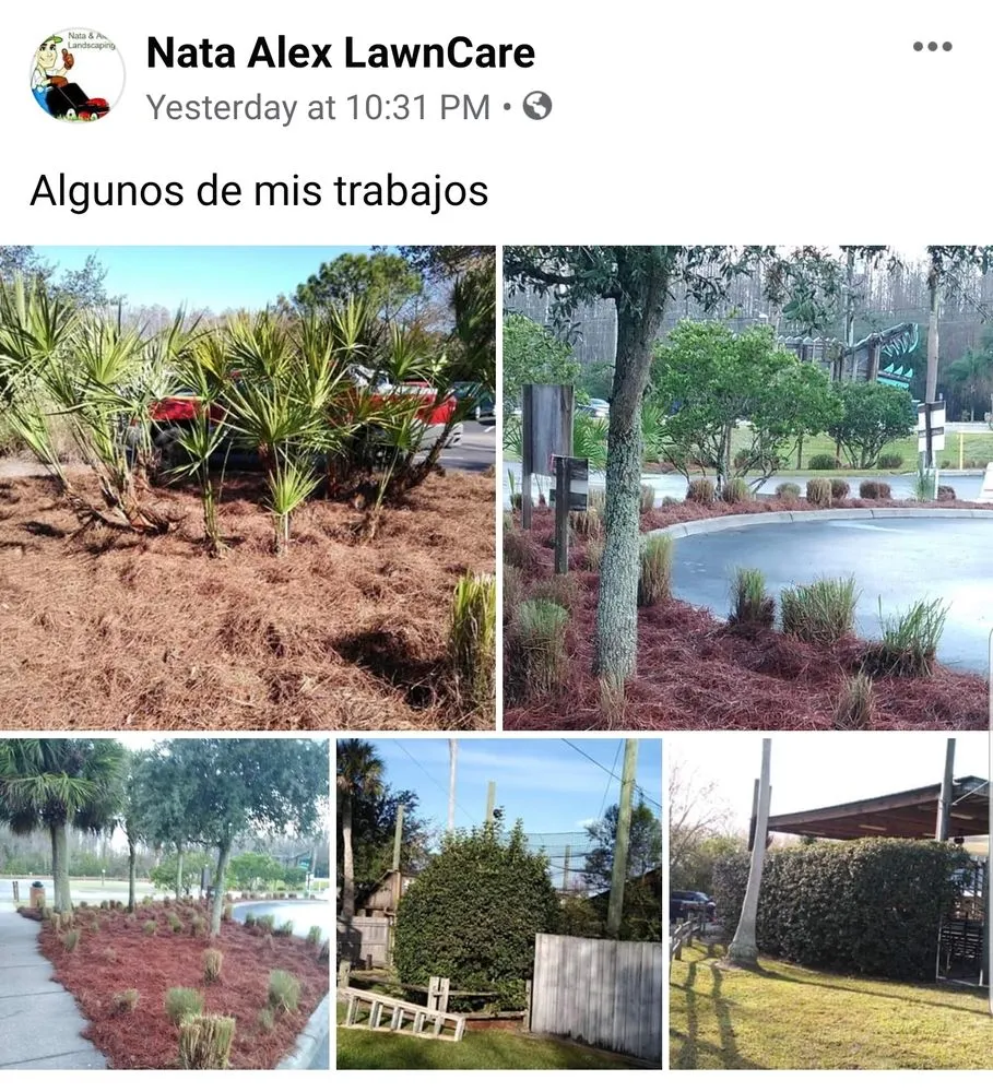 Professional lawn mowing service for residential properties across Alafaya, FL - Nata & Alex Landscaping