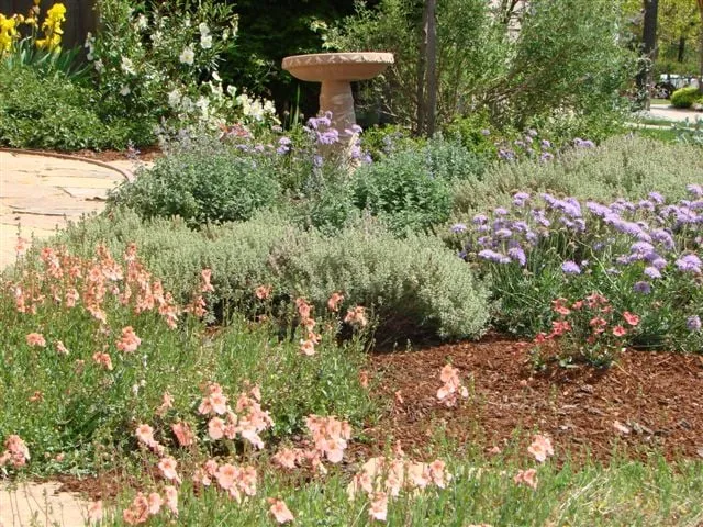 Trusted lawn care service experts serving Santa Cruz, CA - Natalain Schwartz Landscape Design