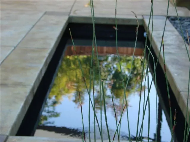 Professional yard maintenance experts serving Santa Cruz, CA - Natalain Schwartz Landscape Design