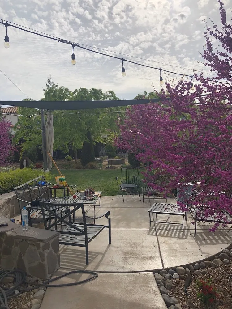 Expert yard maintenance for outdoor upgrades in Folsom, CA by Natalia Bluck Landscape Consulting