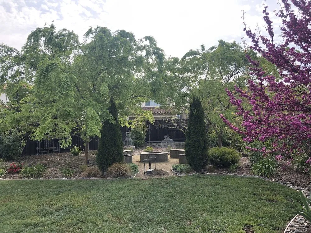 Custom yard maintenance experts serving Folsom, CA - Natalia Bluck Landscape Consulting