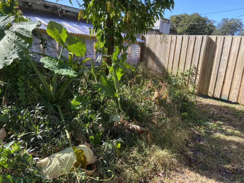 Professional yard maintenance with custom design in Davenport, FL by Natalie's Lawn Care And Maintenance